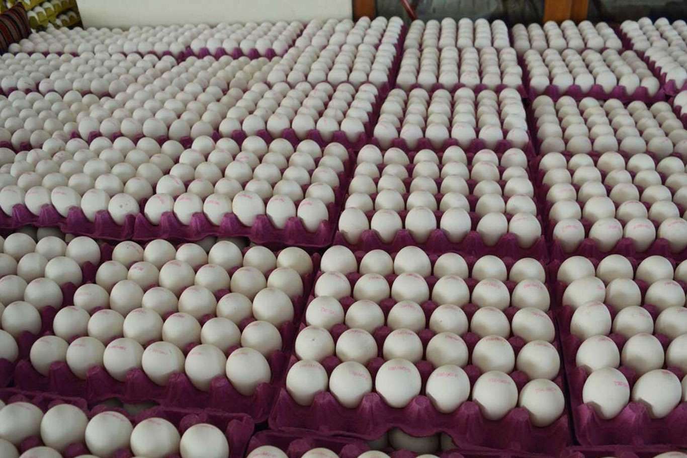 Yumurta fiyatlarındaki artışa halk ve esnaf tepkili